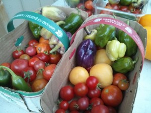 peppers and tomatoes fresh from the garden