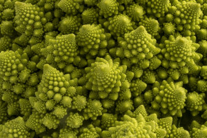 romanesco