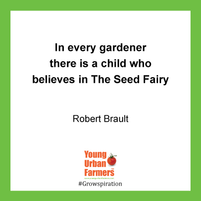 In every gardener there is a child who believes in The Seed Fairy - Robert Brault