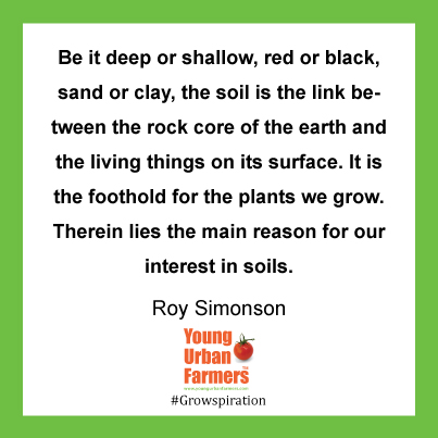 Be it deep or shallow, red or black, sand or clay, the soil is the link between the rock core of the earth and the living things on its surface. It is the foothold for the plants we grow. Therein lies the main reason for our interest in soils. ~Roy Simonson,USDA Yearbook of Agriculture, 1957