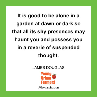 It is good to be alone in a garden at dawn or dark so that all its shy presences may haunt you and possess you in a reverie of suspended thought. -James Douglas
