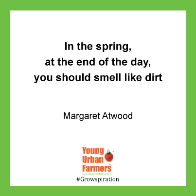 In the spring, at the end of the day, you should smell like dirt - Margaret Atwood