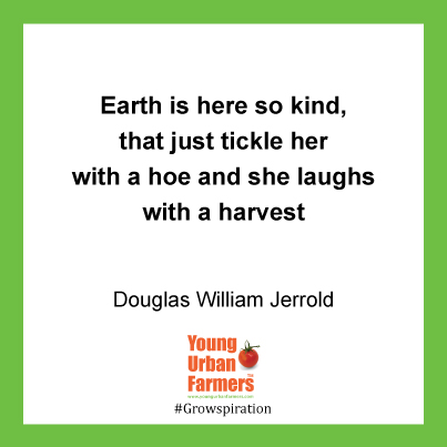 Earth is here so kind, that just tickle her with a hoe and she laughs with a harvest - Douglas William Jerrold