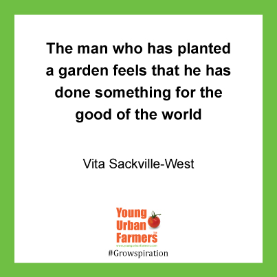 The man who has planted a garden feels that he has done something for the good of the world." - Vita Sackville-West, poet and novelist, 1892-1962