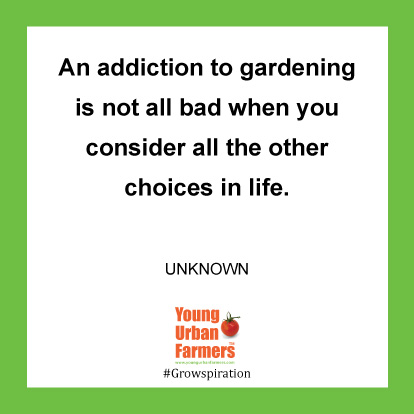 An addiction to gardening is not all bad when you consider all the other choices in life. -Author Unknown