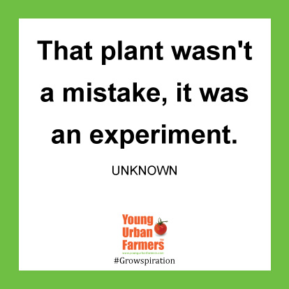 That plant wasn't a mistake, it was an experiment. - Unknown